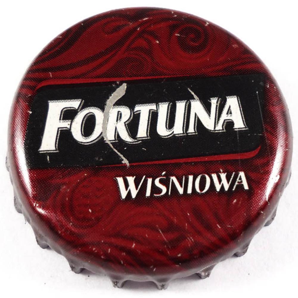 Polônia Fortuna Wisniowa