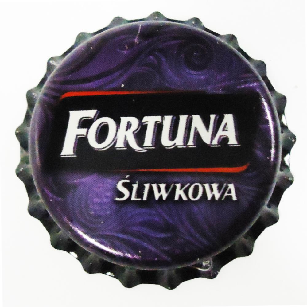Polônia Fortuna Sliwkowa