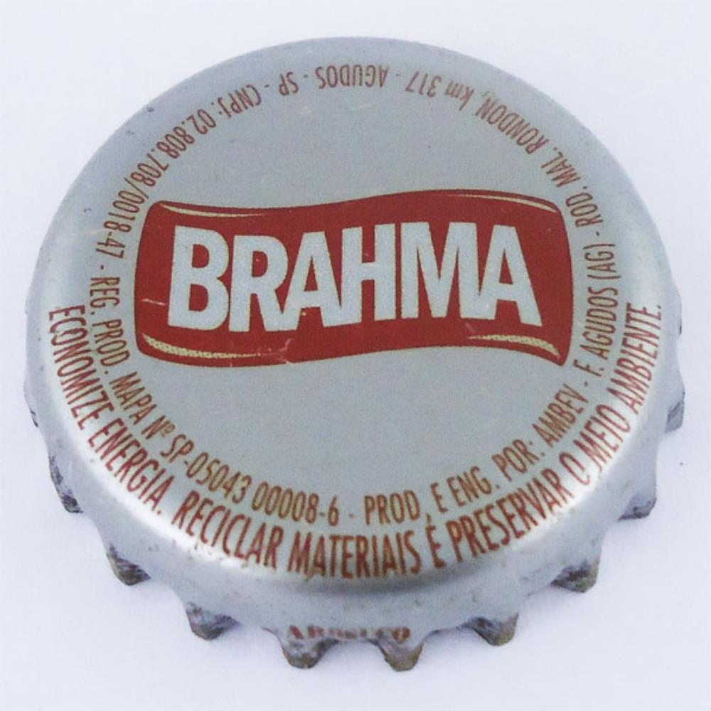 Brahma  Frase Meio Ambiente 600ml